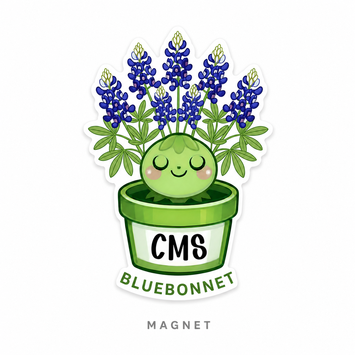 CMS Magnets