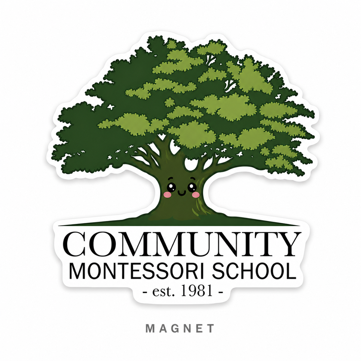 CMS Magnets