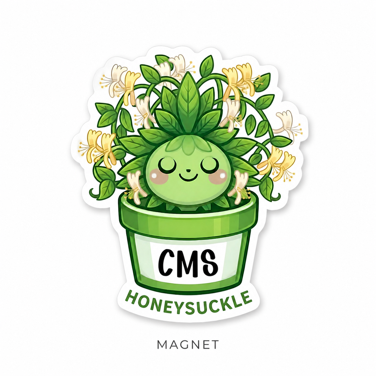 CMS Magnets