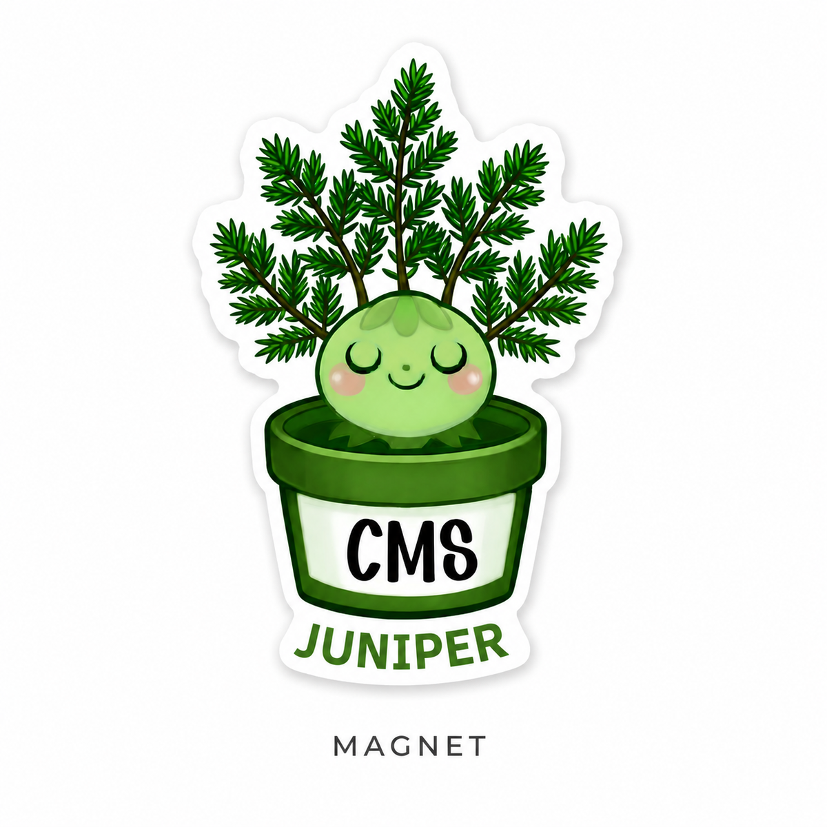 CMS Magnets