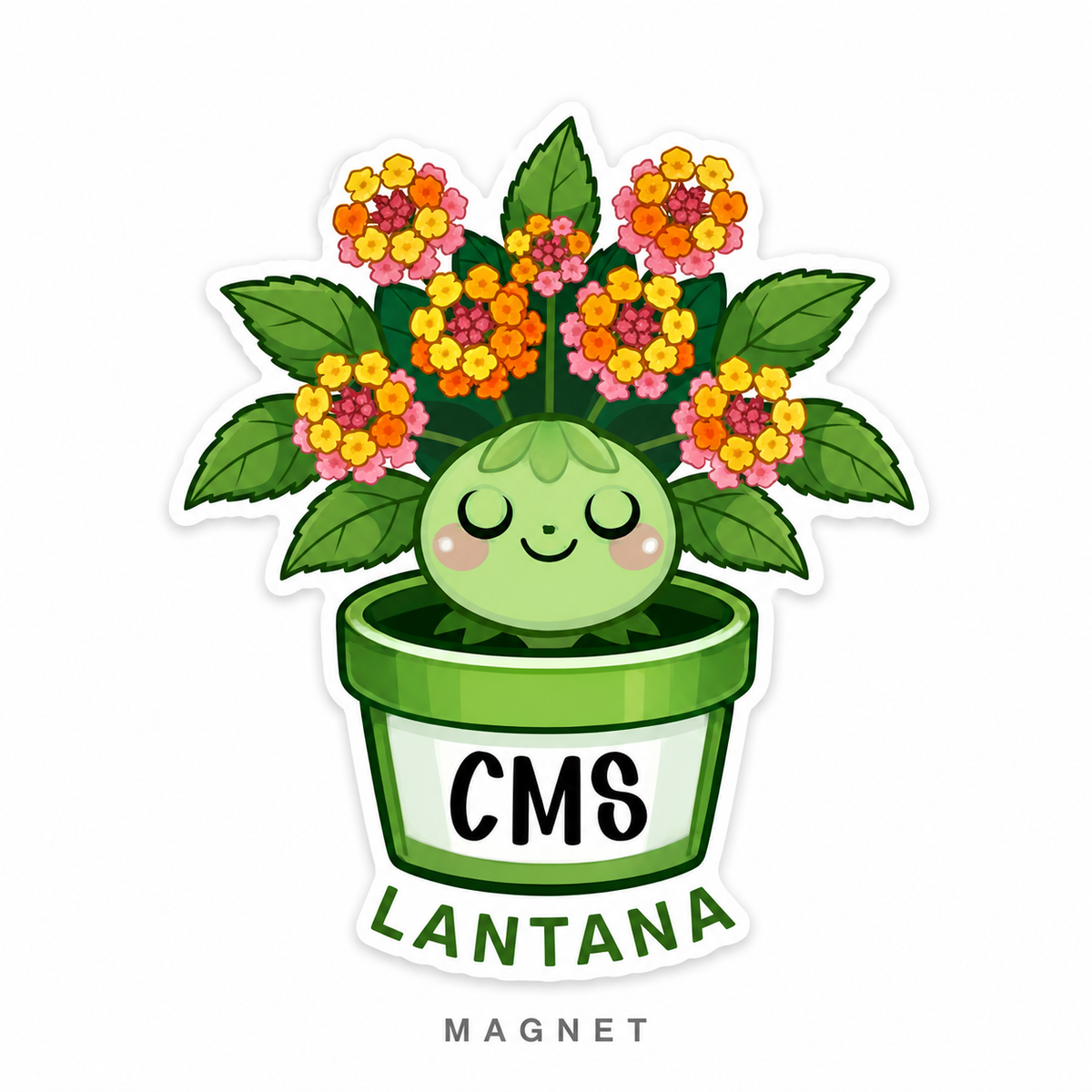 CMS Magnets