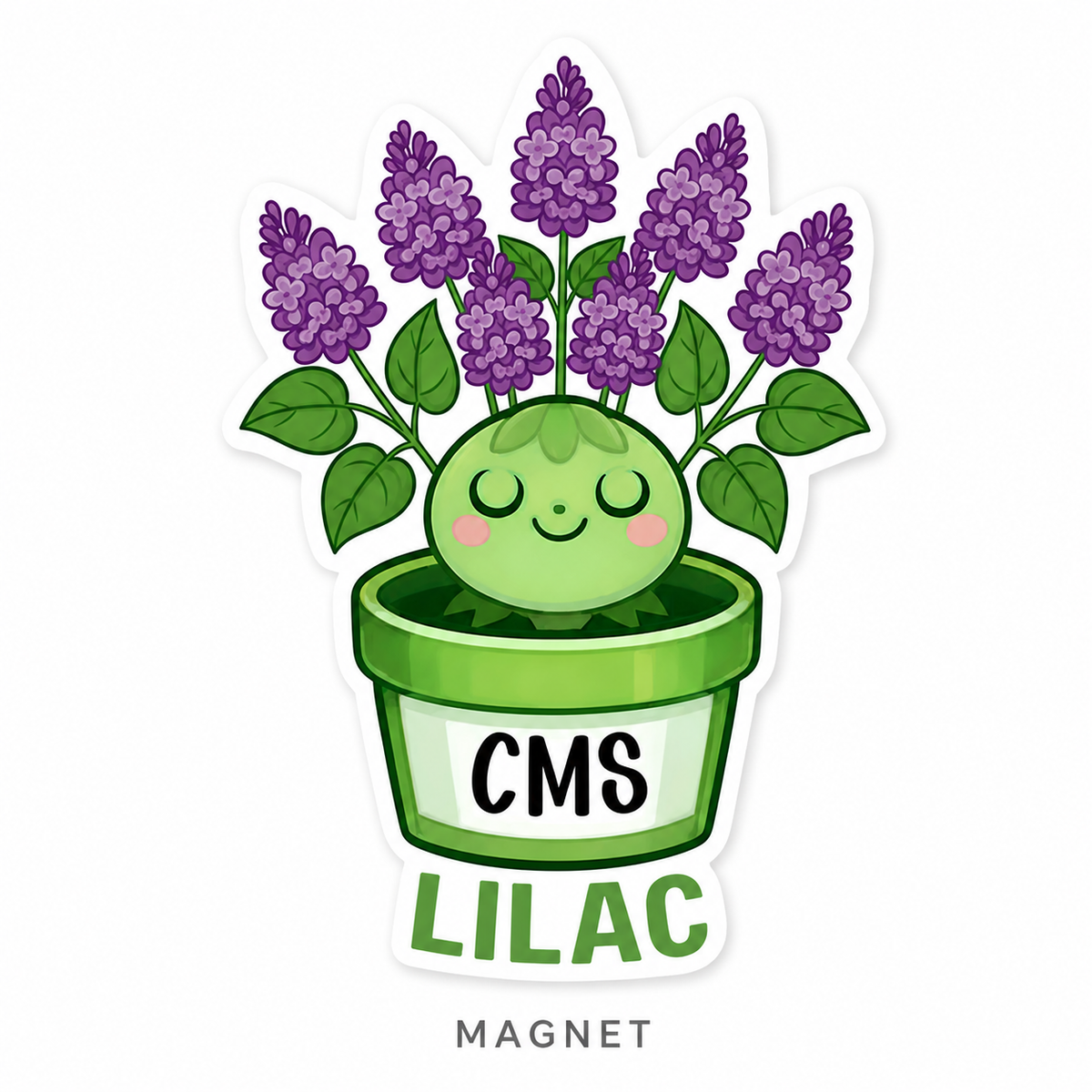 CMS Magnets