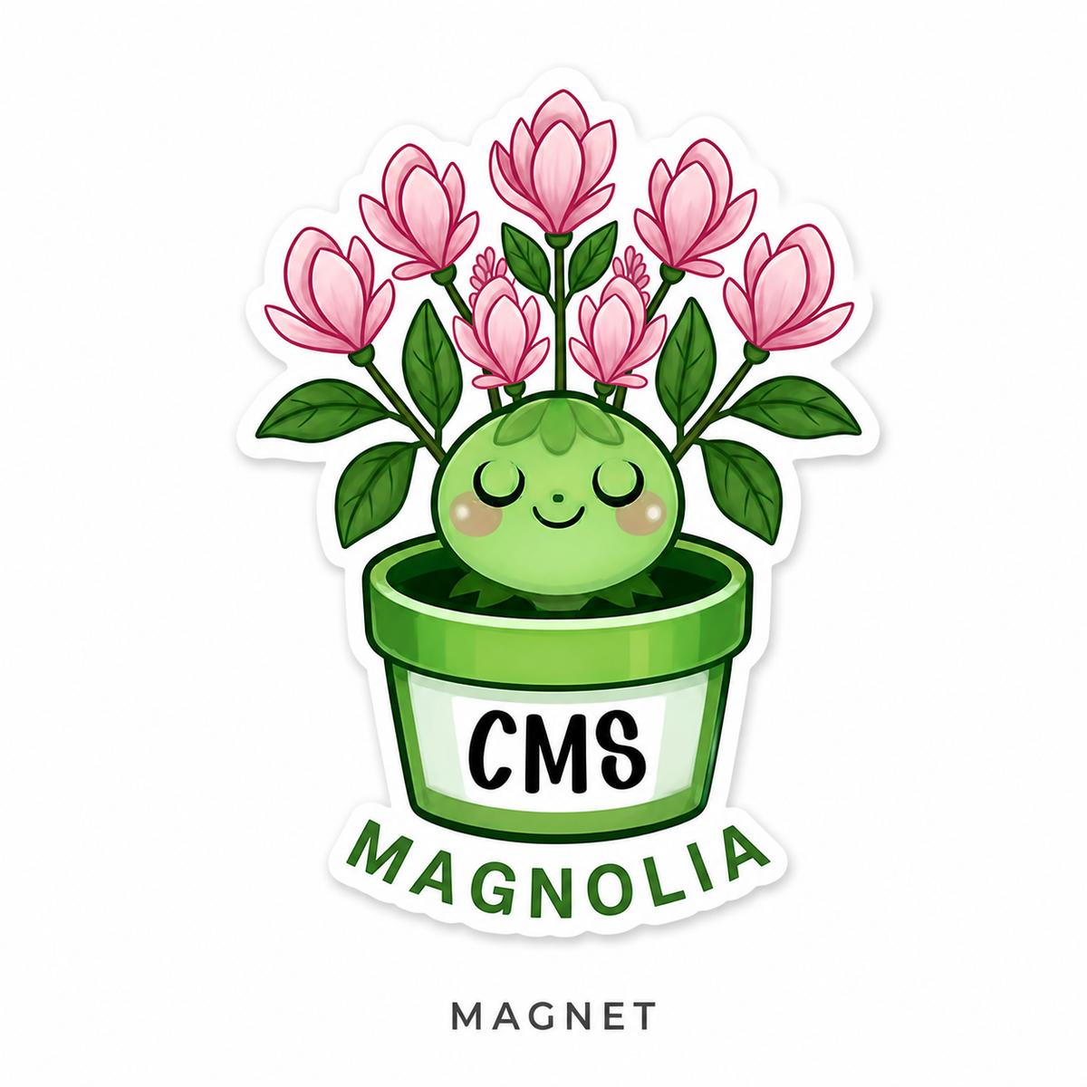 CMS Magnets