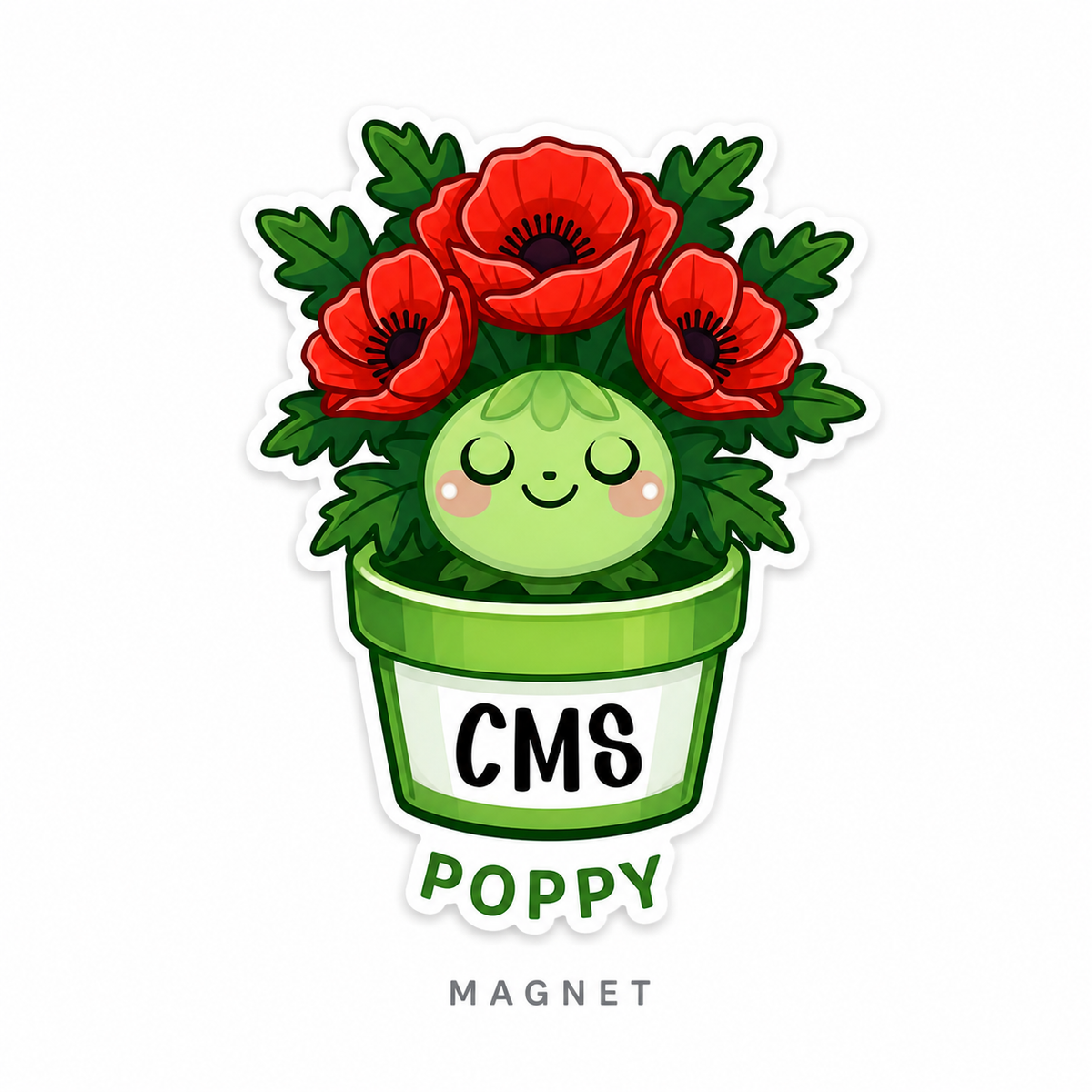 CMS Magnets