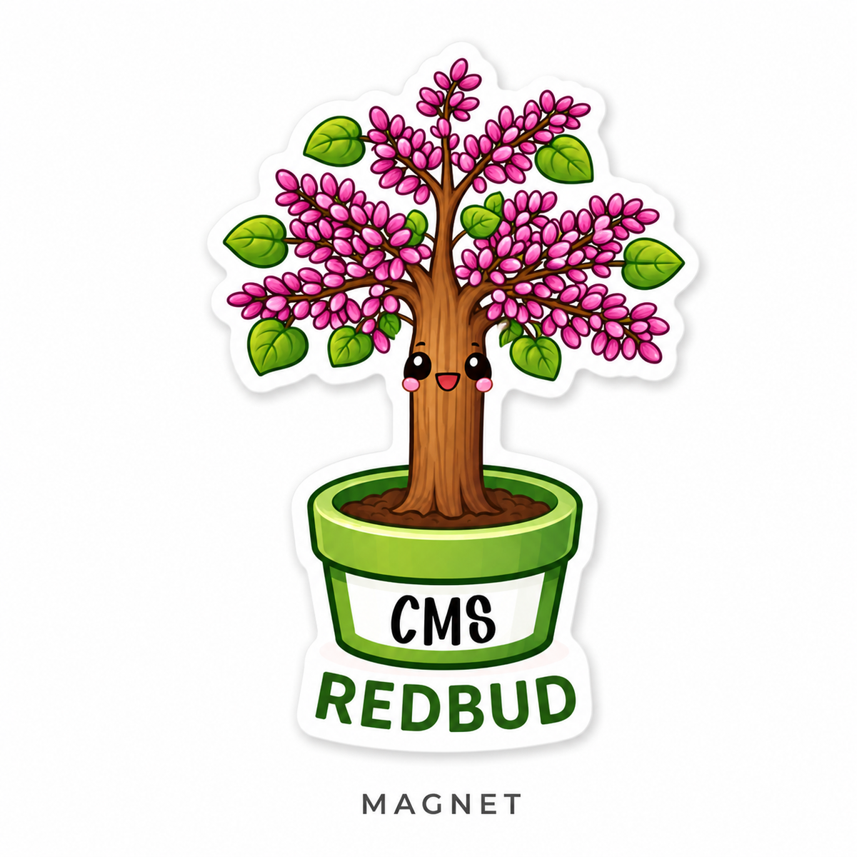 CMS Magnets