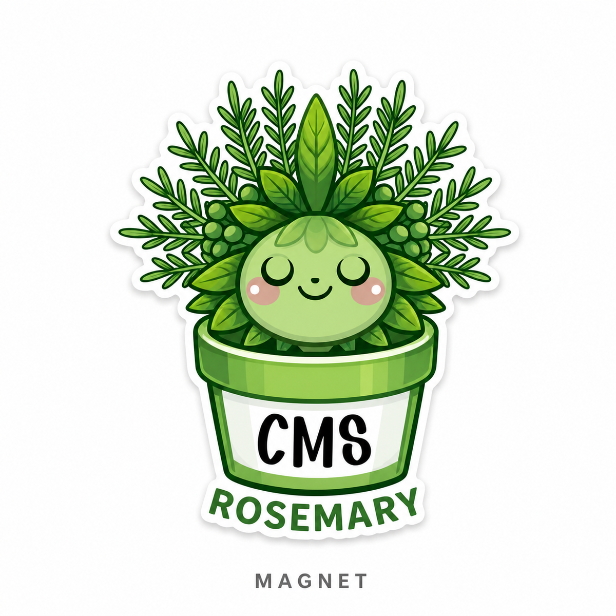 CMS Magnets