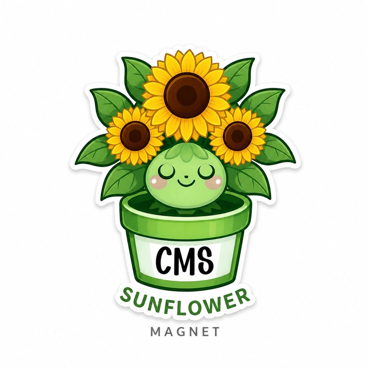 CMS Magnets